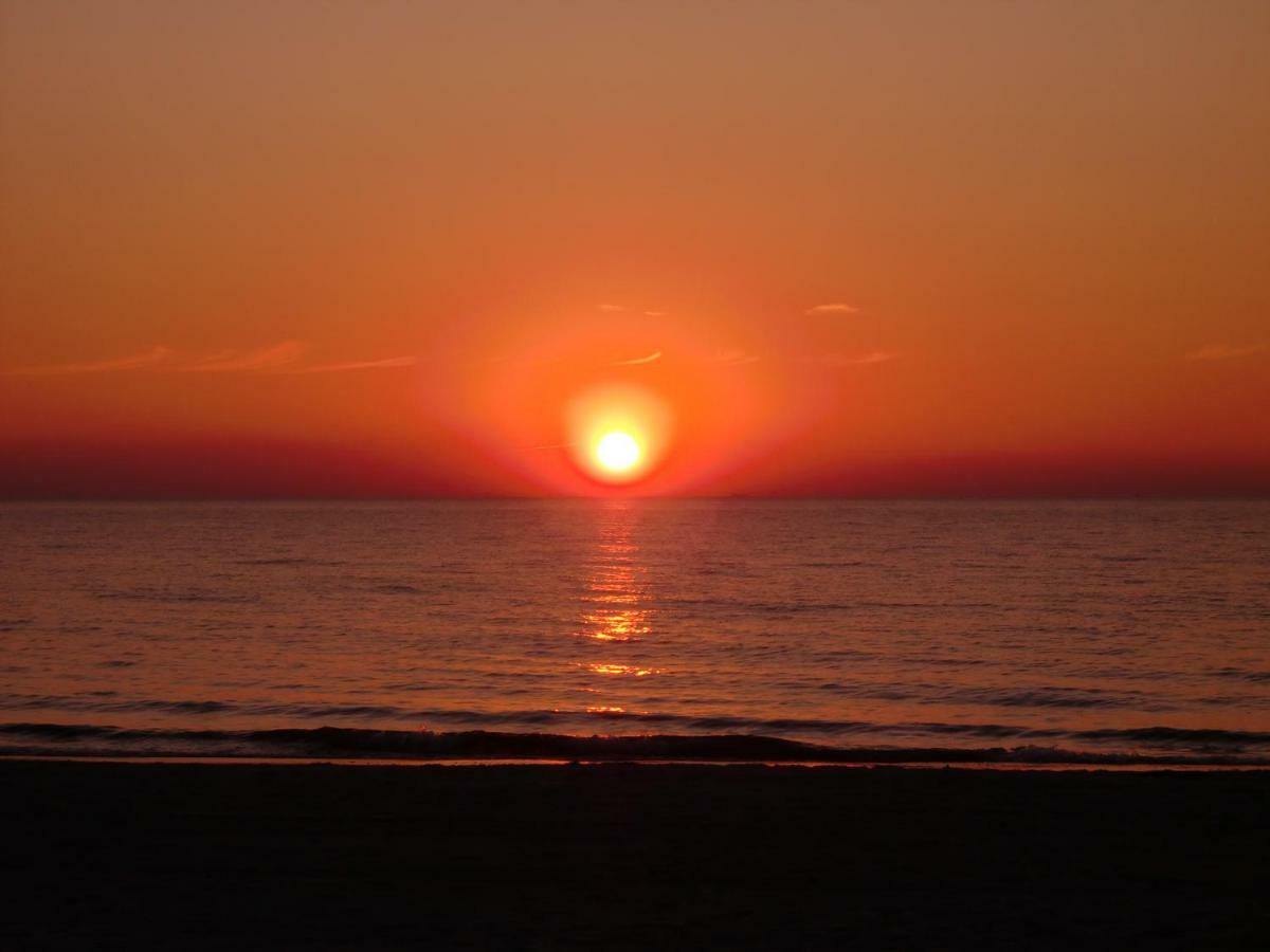 Am Ostseestrand Zingst Exteriör bild